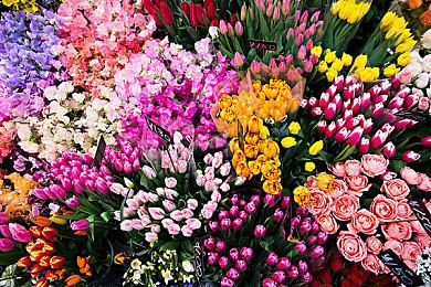 传《死亡岛2》今年夏季重新公布 最早9月发售